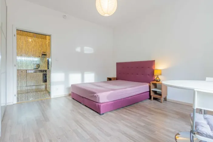 Pronájem bytu 1+1, Praha - Nusle, U Pernštejnských, 29 m2