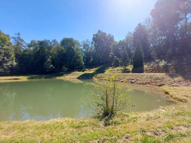 Pronájem bytu 2+1, Bukov, 68 m2