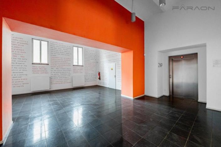 Pronájem bytu 3+kk, Praha - Holešovice, Na Maninách, 146 m2