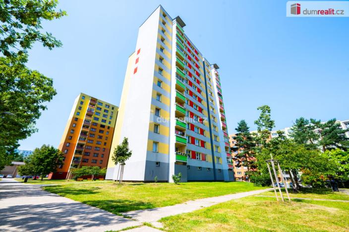 Pronájem bytu 1+1, České Budějovice - České Budějovice 2, M. Chlajna, 38 m2