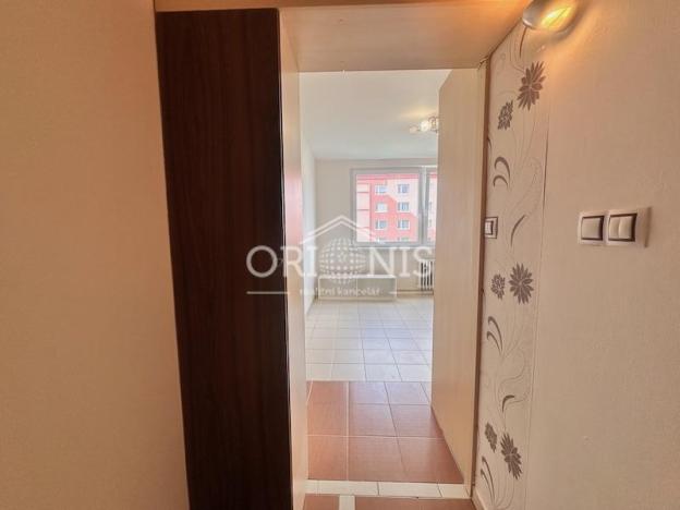 Prodej bytu 1+kk, Chomutov, Kostnická, 20 m2