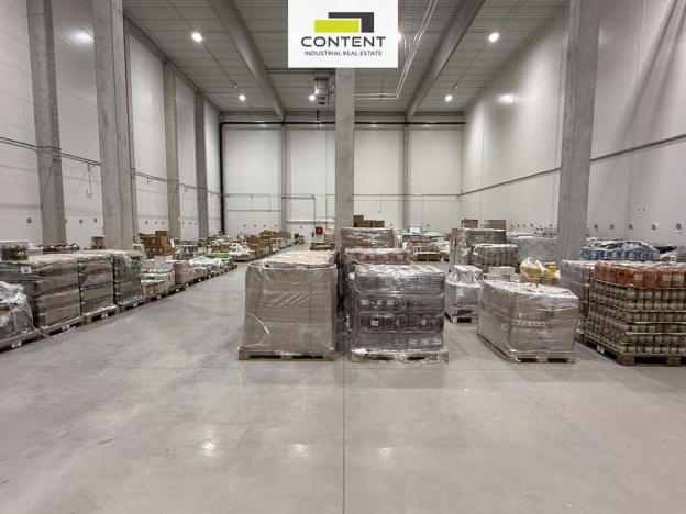 Pronájem výrobních prostor, Zdice - Černín, 1000 m2