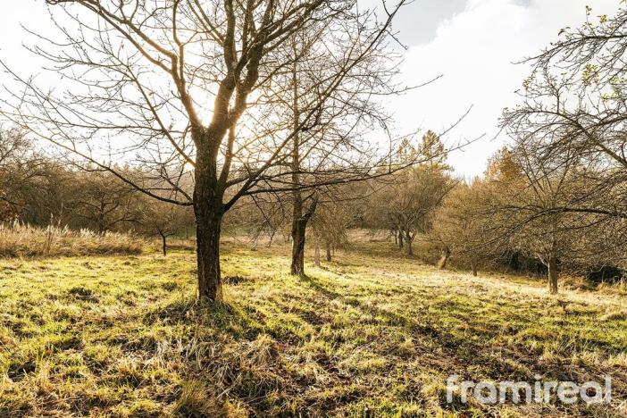 Prodej pozemku pro bydlení, Staré Město - Bílá Studně, 4179 m2