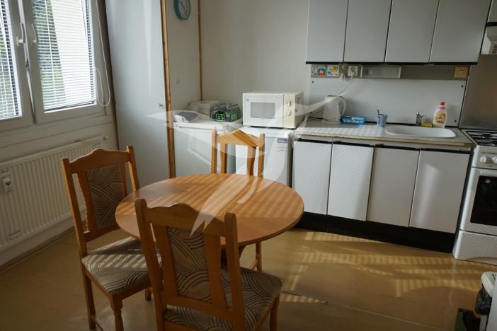 Pronájem bytu 1+1, Plzeň, Manětínská, 39 m2