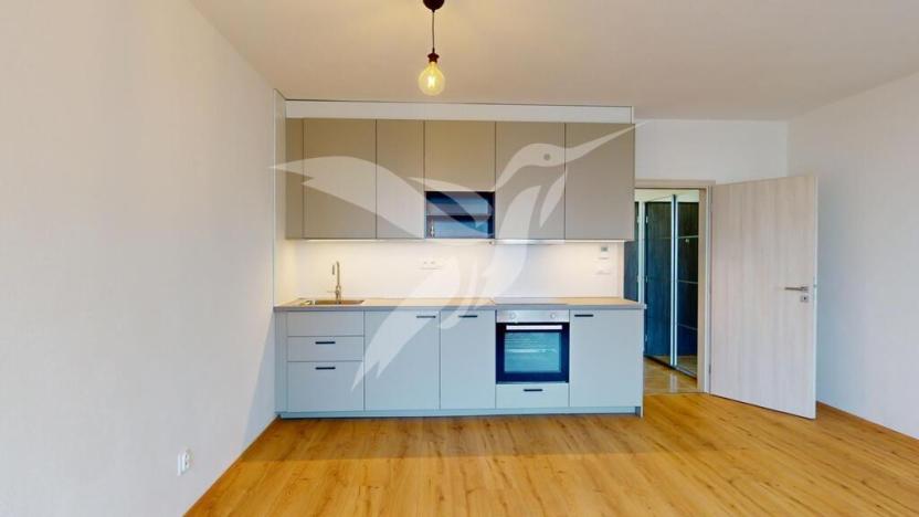 Pronájem bytu 1+kk, Plzeň, Boettingerova, 33 m2
