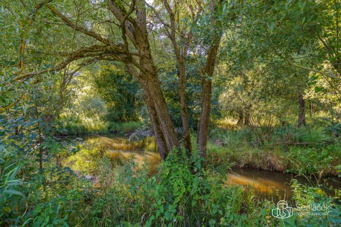 Prodej louky, Teplička, 40229 m2