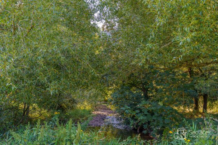 Prodej louky, Teplička, 40229 m2