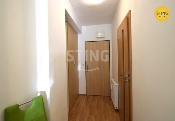 Pronájem bytu 1+kk, Všemina, 24 m2