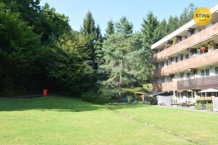 Pronájem bytu 1+kk, Všemina, 24 m2