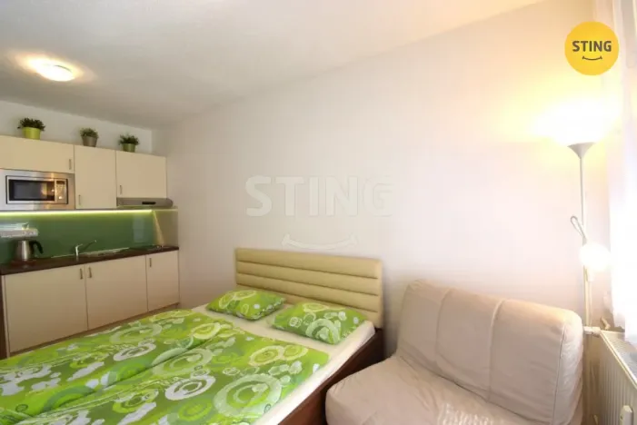 Pronájem bytu 1+kk, Všemina, 24 m2