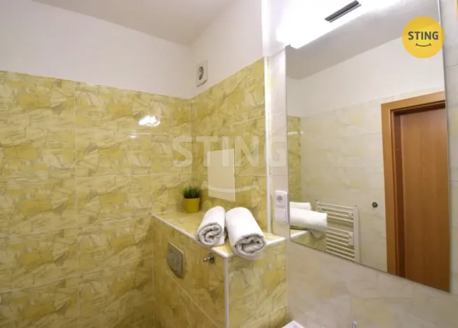 Pronájem bytu 1+kk, Všemina, 24 m2