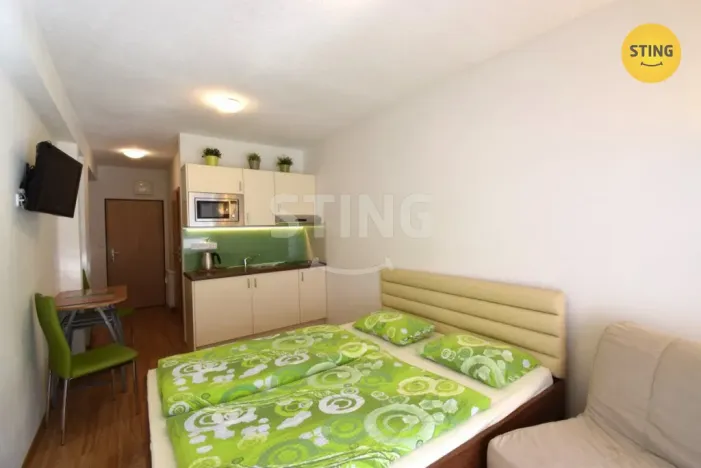 Pronájem bytu 1+kk, Všemina, 24 m2