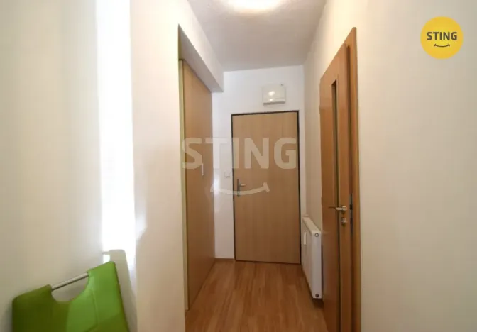 Pronájem bytu 1+kk, Všemina, 24 m2