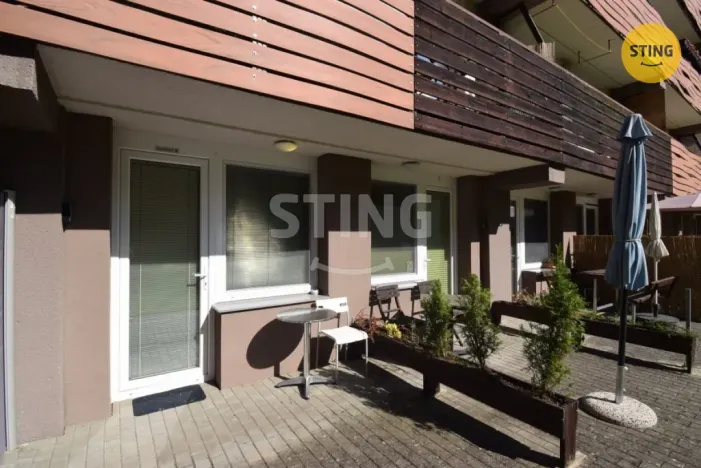 Pronájem bytu 1+kk, Všemina, 24 m2