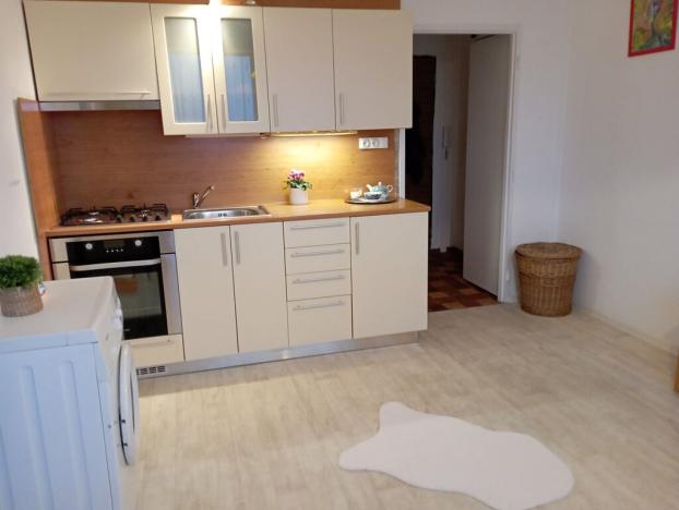Pronájem bytu 1+1, České Budějovice, Větrná, 36 m2