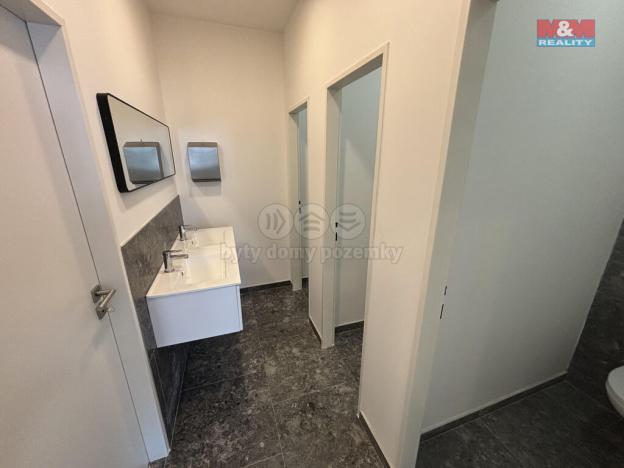 Pronájem kanceláře, Ostrava - Přívoz, Trocnovská, 240 m2