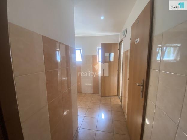 Pronájem komerční nemovitosti, Kamýk nad Vltavou, 185 m2