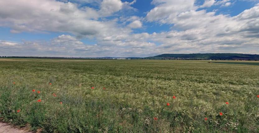 Prodej pole, Strašnov, 17233 m2