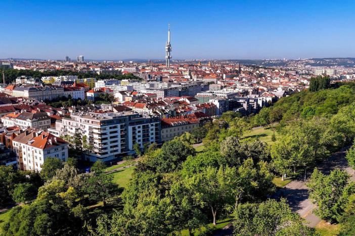 Prodej bytu 2+kk, Praha - Žižkov, Kališnická, 67 m2