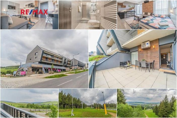 Prodej bytu 1+kk, Loučná pod Klínovcem, 40 m2