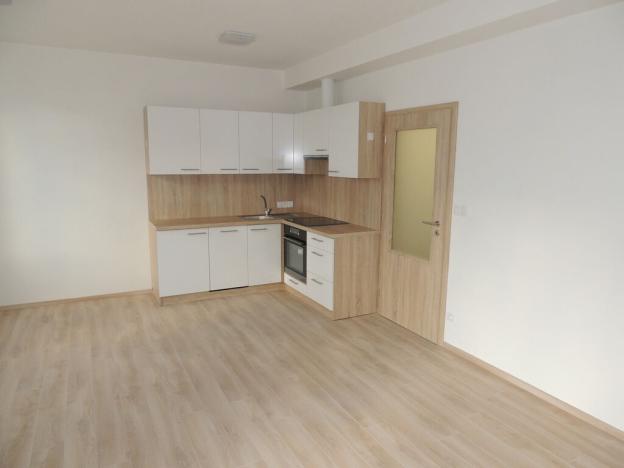 Pronájem bytu 1+kk, Plzeň, U Velkého rybníka, 34 m2