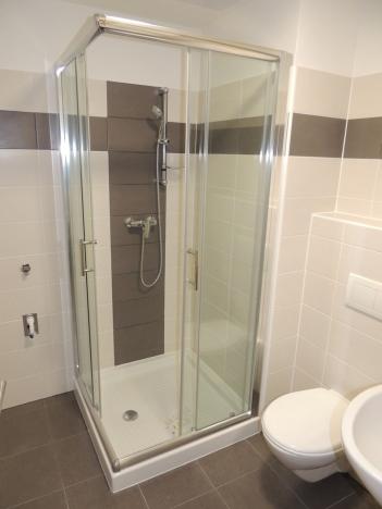 Pronájem bytu 1+kk, Plzeň, U Velkého rybníka, 34 m2