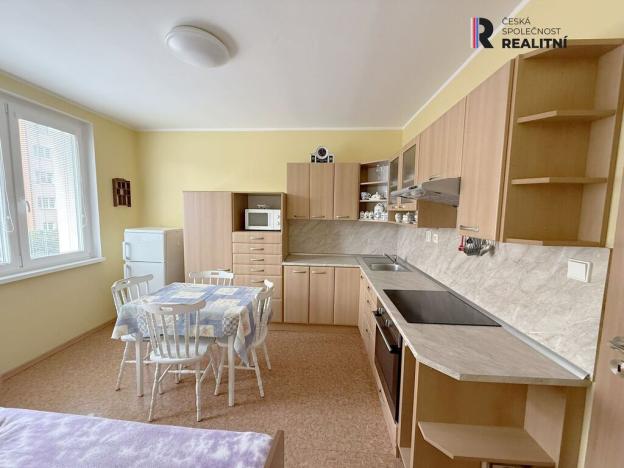 Pronájem bytu 1+1, Horní Slavkov, Dlouhá, 35 m2