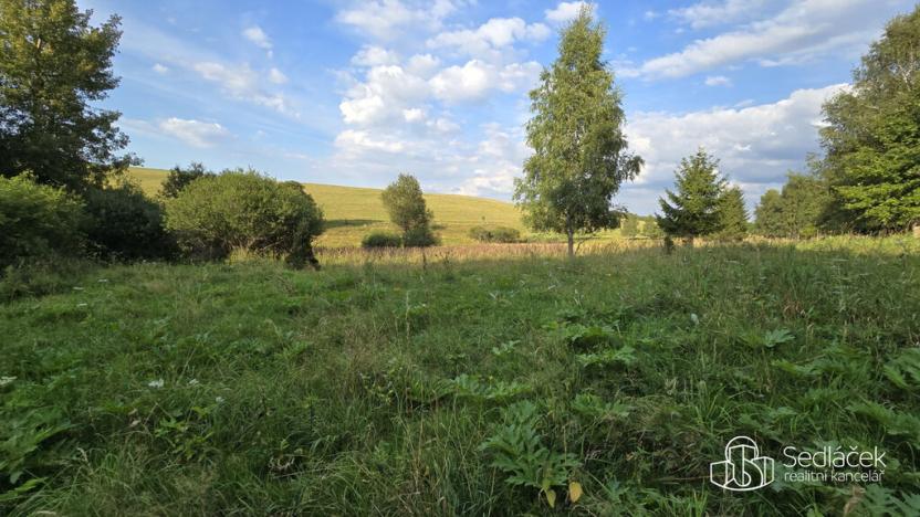 Prodej pozemku, Rovná, 8130 m2