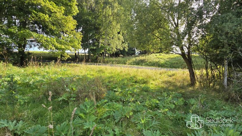 Prodej pozemku, Rovná, 8130 m2