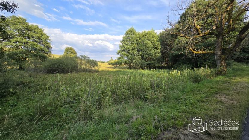 Prodej pozemku, Rovná, 8130 m2