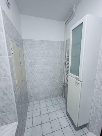 Prodej bytu 4+1, Pardubice - Zelené Předměstí, Sokolovská, 113 m2