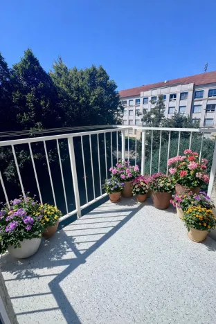 Prodej bytu 4+1, Pardubice - Zelené Předměstí, Sokolovská, 113 m2