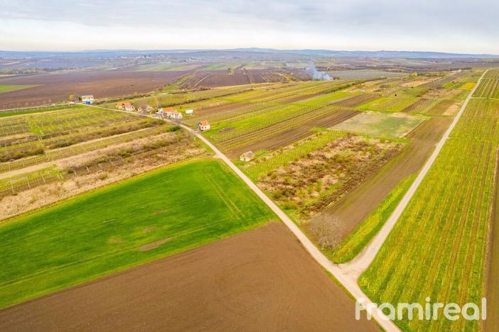 Prodej pozemku pro bydlení, Moravský Žižkov, 2723 m2