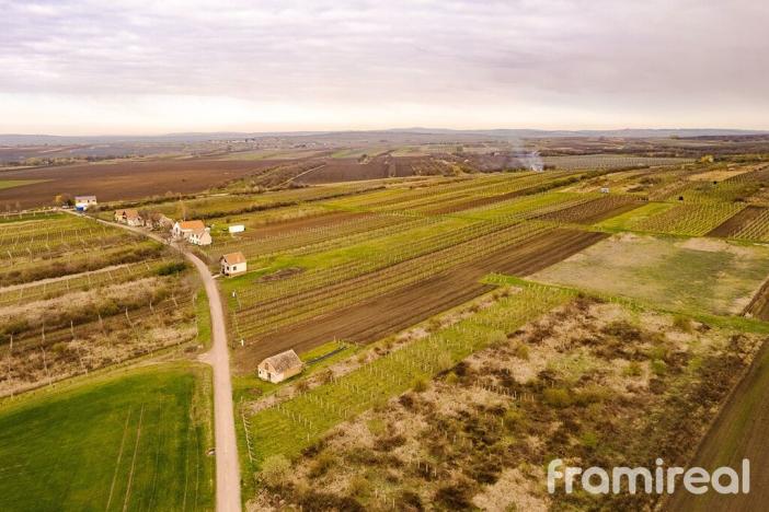 Prodej pozemku pro bydlení, Moravský Žižkov, 2723 m2