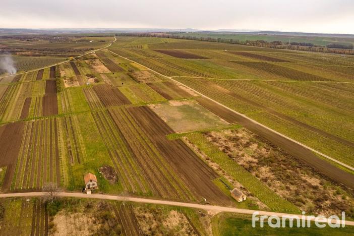 Prodej pozemku pro bydlení, Moravský Žižkov, 2723 m2
