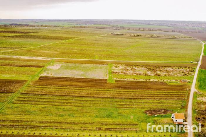 Prodej pozemku pro bydlení, Moravský Žižkov, 2723 m2