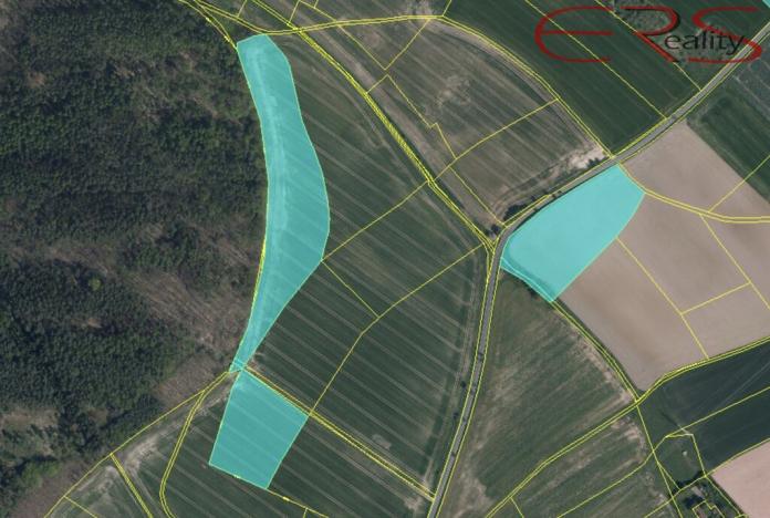 Prodej pole, Ptýrov, 55326 m2