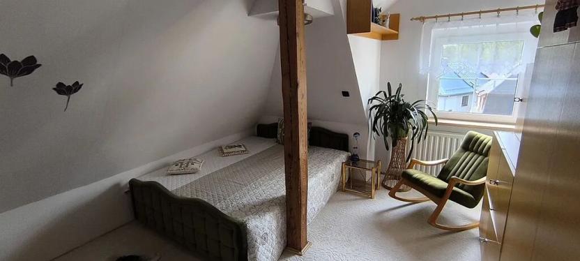 Prodej vícegeneračního domu, Aš, Květnová, 330 m2