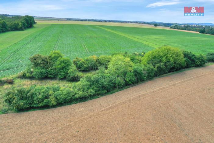 Prodej lesa, Velké Všelisy, 1302 m2