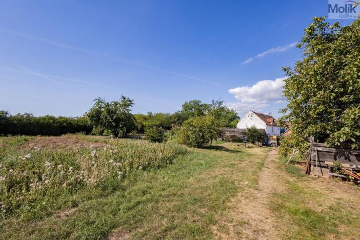 Prodej rodinného domu, Strupčice - Hošnice, 250 m2