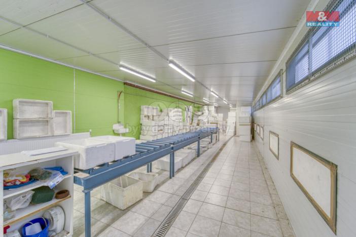 Prodej výrobních prostor, Lhůta, 1220 m2