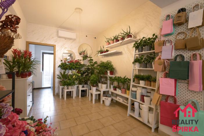 Pronájem obchodního prostoru, Moravská Třebová - Předměstí, Brněnská, 58 m2