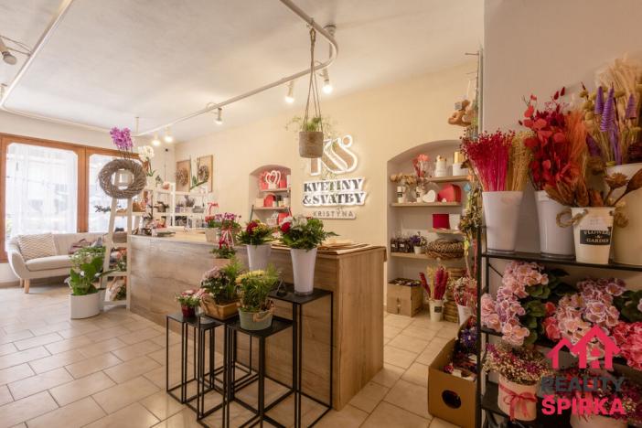 Pronájem obchodního prostoru, Moravská Třebová - Předměstí, Brněnská, 58 m2