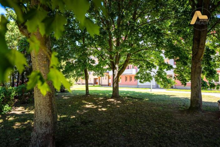 Pronájem bytu 2+kk, Bechyně, Písecká, 42 m2