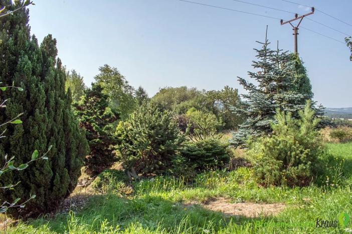 Prodej pozemku pro bydlení, Spálené Poříčí, 4447 m2