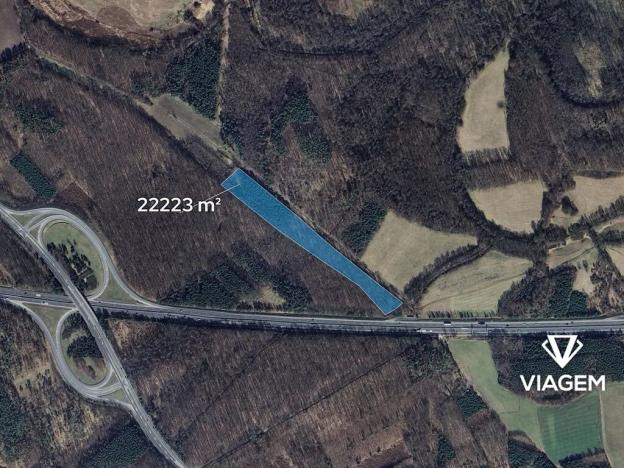 Prodej podílu lesa, Poděbrady, 1388 m2