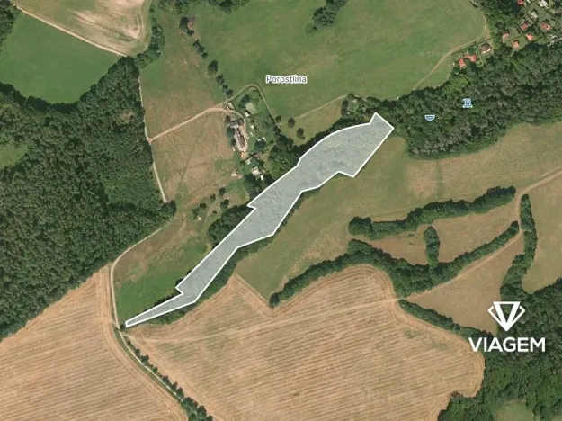 Prodej lesa, Nižbor, 13464 m2