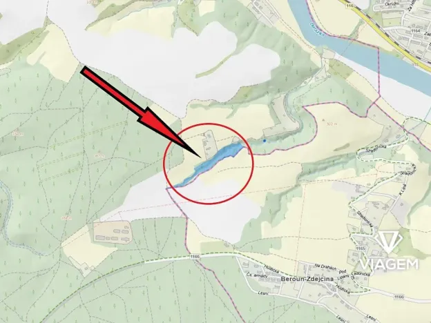 Prodej lesa, Nižbor, 13464 m2