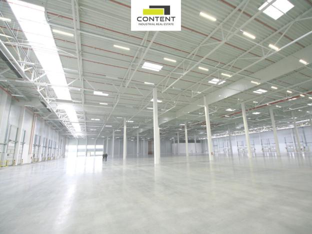 Pronájem výrobních prostor, Syrovice, 5063 m2