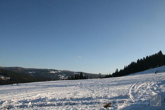 Prodej rodinného domu, Kraslice, Pod lesem, 135 m2